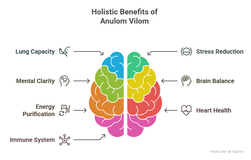 “Infographic showing holistic benefits of Anulom Vilom breathing technique with a colorful brain diagram and labeled benefits such as lung capacity, stress reduction, mental clarity, and more.”