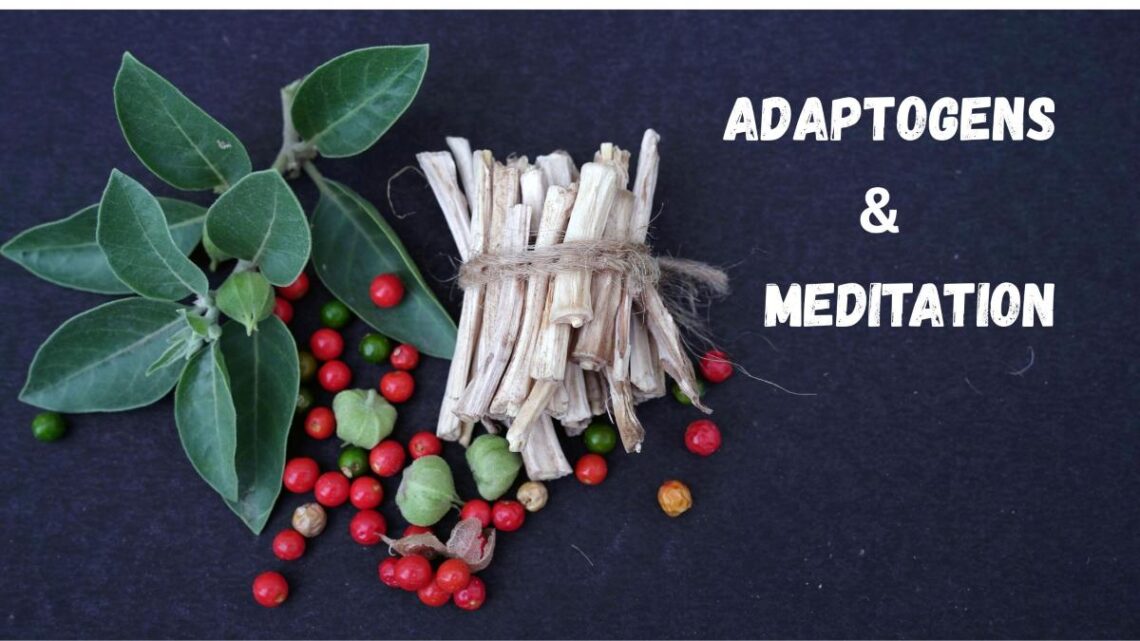 Ashwagandha roots and berries with green leaves arranged on a dark background,