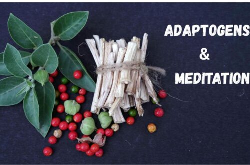 Ashwagandha roots and berries with green leaves arranged on a dark background,