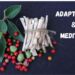 Ashwagandha roots and berries with green leaves arranged on a dark background,