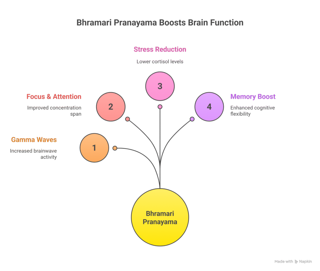 Infographic showing how Bhramari Pranayama boosts brain function by increasing gamma waves, improving focus and attention, reducing stress, and enhancing memory and cognitive flexibility.