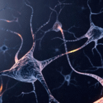 Interconnected neurons with glowing synapses illustrating brain activity, neuroplasticity, and neural communication.
