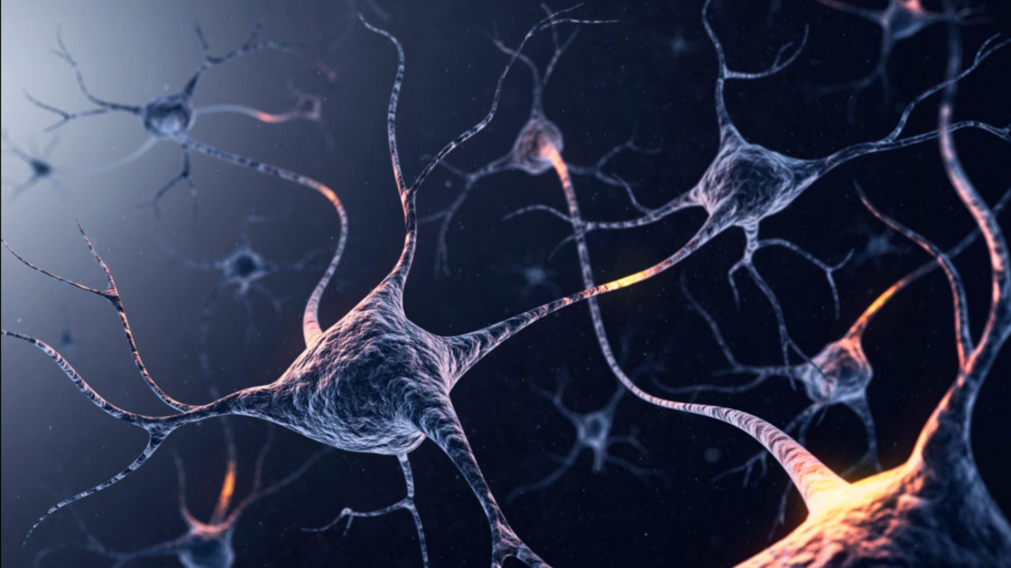 Interconnected neurons with glowing synapses illustrating brain activity, neuroplasticity, and neural communication.